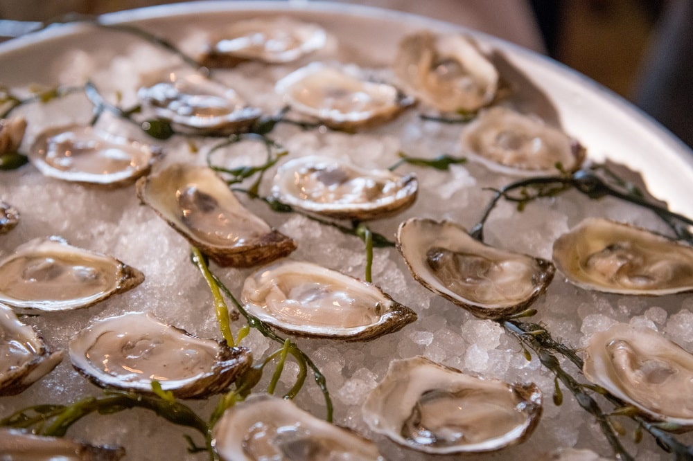 east coast vs west coast oysters