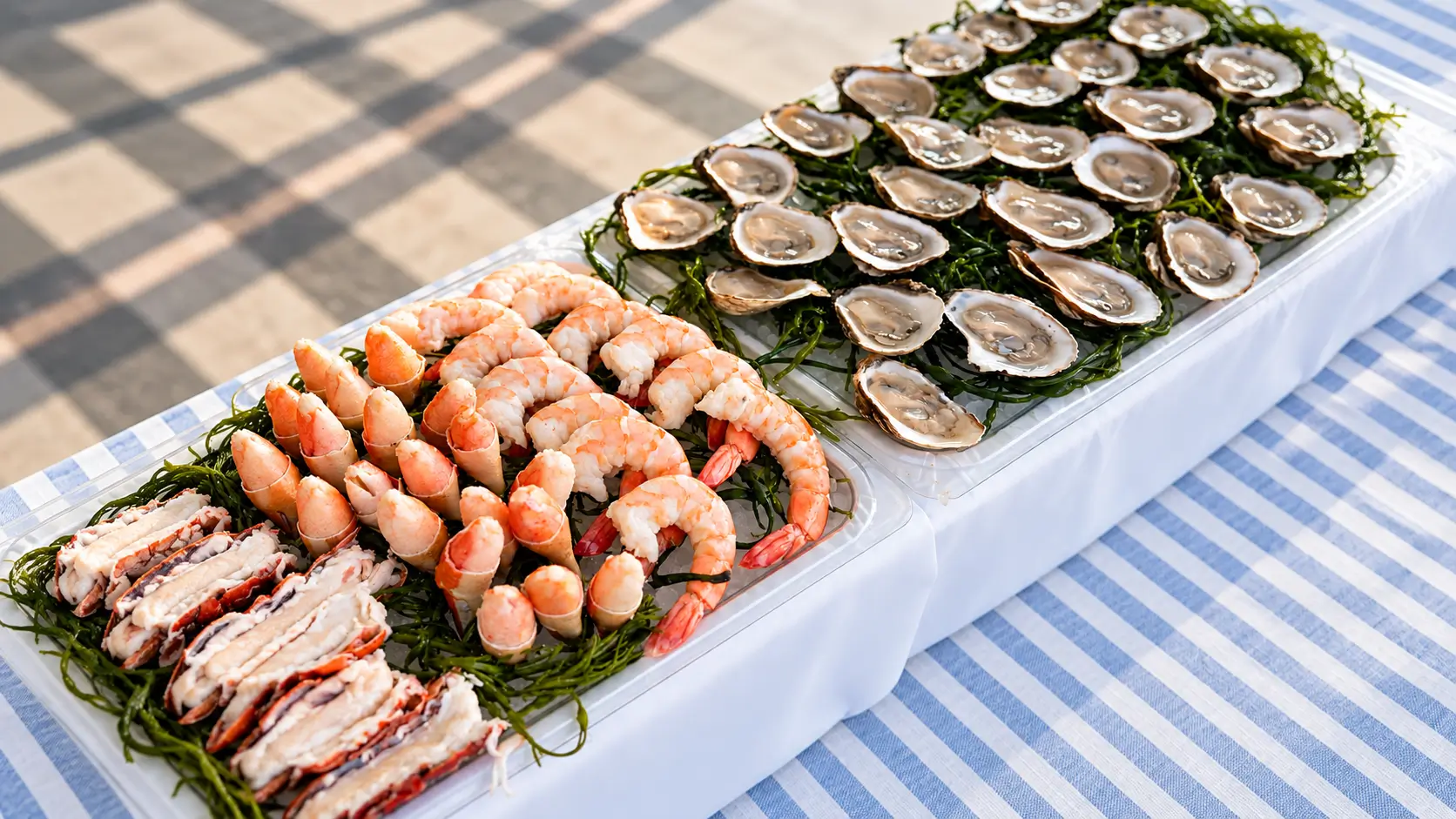 gallery-4.webp